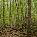 Sónar presents new editions of AI and Music S+T+ARTS & SónarCCCB