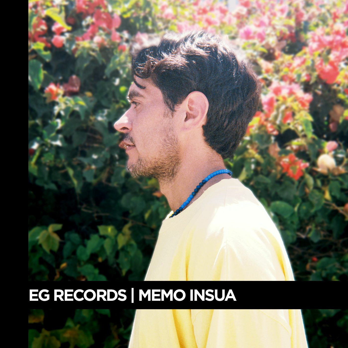 Collective-Series-EGR-Memo-Insua